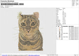 Cat Realistic v7 Embroidery