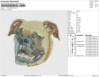 dog 290323b