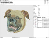 dog 290323b