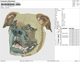 dog 290323b