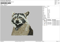 Racoon Embroidery