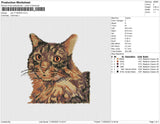 cat v11022023