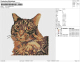 cat v11022023