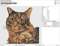 cat v11022023