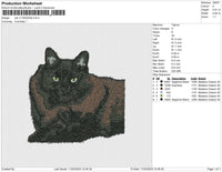 cat v11022023b