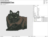 cat v11022023b