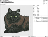 cat v11022023b