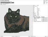 cat v11022023b
