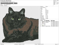 cat v11022023b