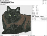 cat v11022023b