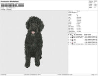 dog 270323