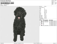 dog 270323