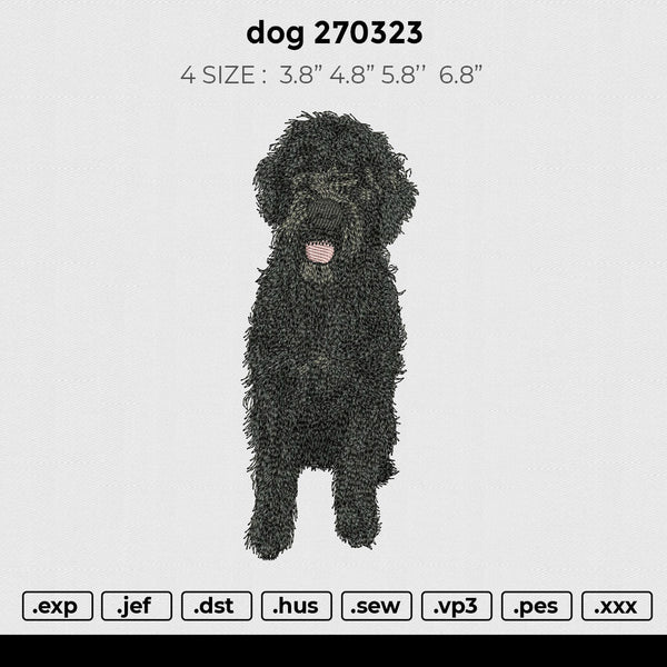 dog 270323