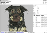Dog B1