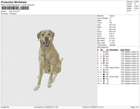 dog v73