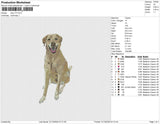 dog v73