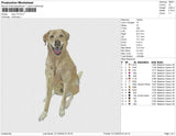 dog v73