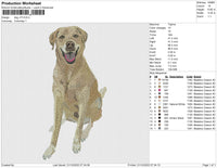 dog v73