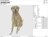dog v73