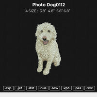 photo dog0112