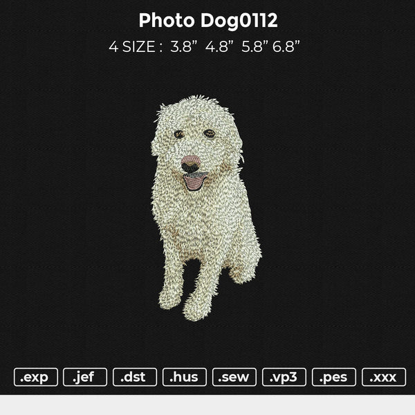 photo dog0112