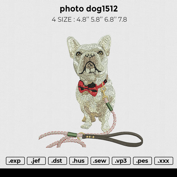 photo dog1512