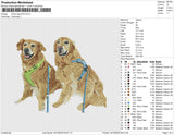 photo dog 2212