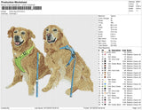 photo dog 2212