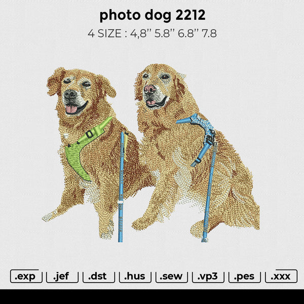 photo dog 2212